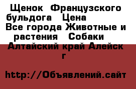 Щенок  Французского бульдога › Цена ­ 35 000 - Все города Животные и растения » Собаки   . Алтайский край,Алейск г.